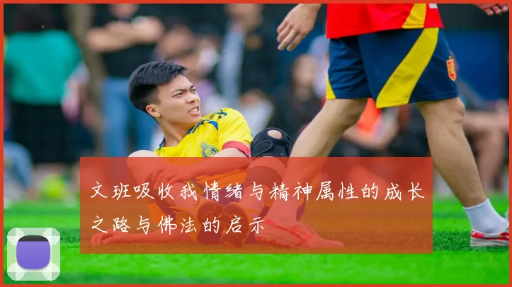文班吸收我情绪与精神属性的成长之路与佛法的启示
