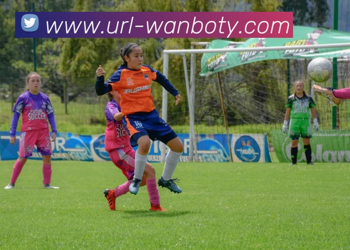 万博体育平台生态图