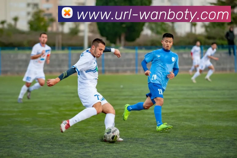 万博体育APP 封面图